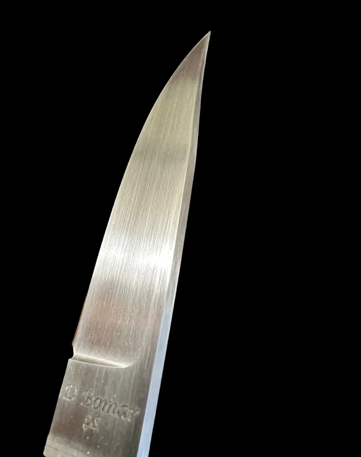 Fixed Blade Duane Bomar, J.S. 4 7/8" Custom Ironwood Curled End DH-2028 - Image 4