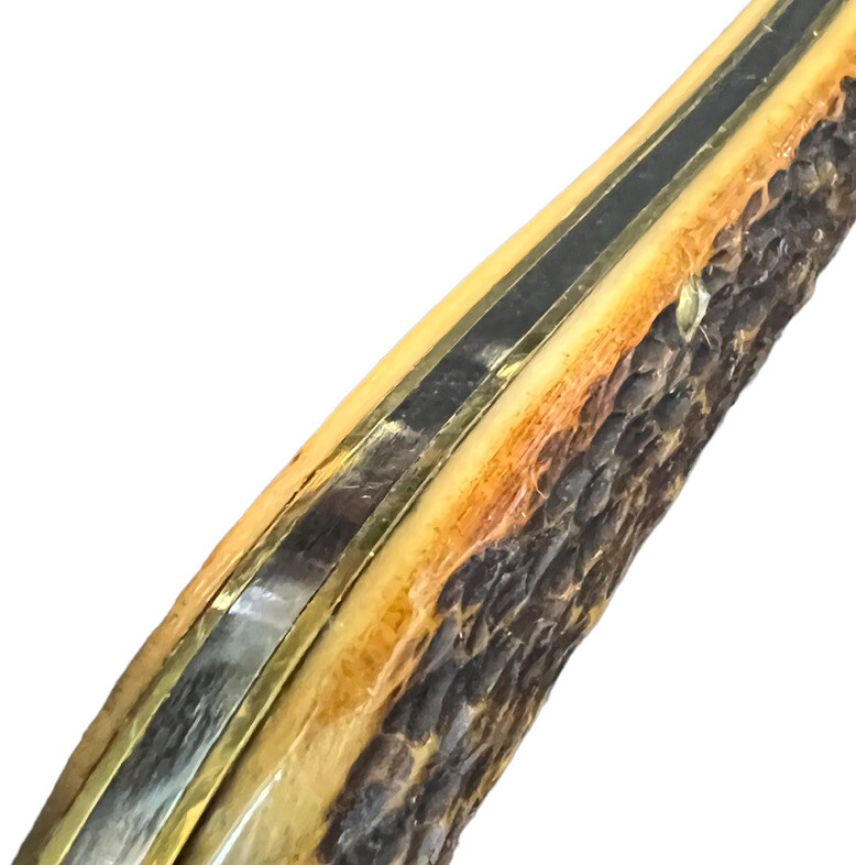Pocketknife Queen 20 1976 Large Texas Toothpick Rogers Jigged Bone KP-1447 - Image 4