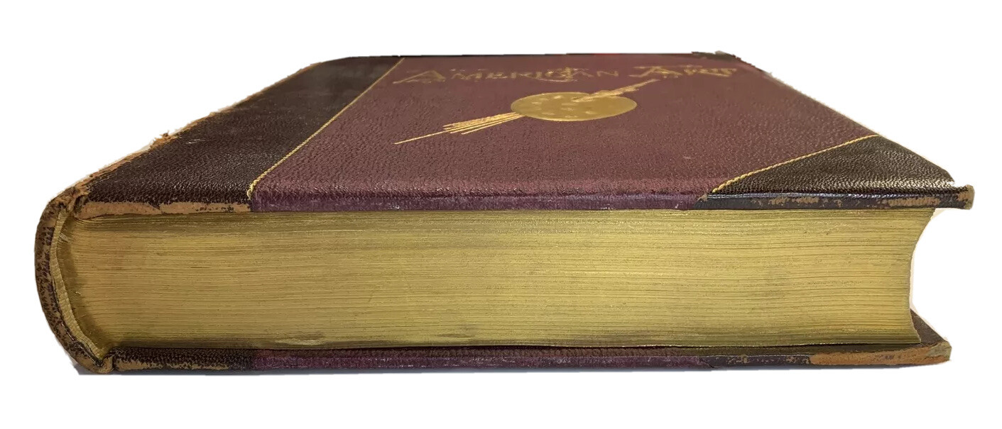 American Art and American Art Collections Vol I/II Ed. by Walter Montgomery 1889 - Image 4