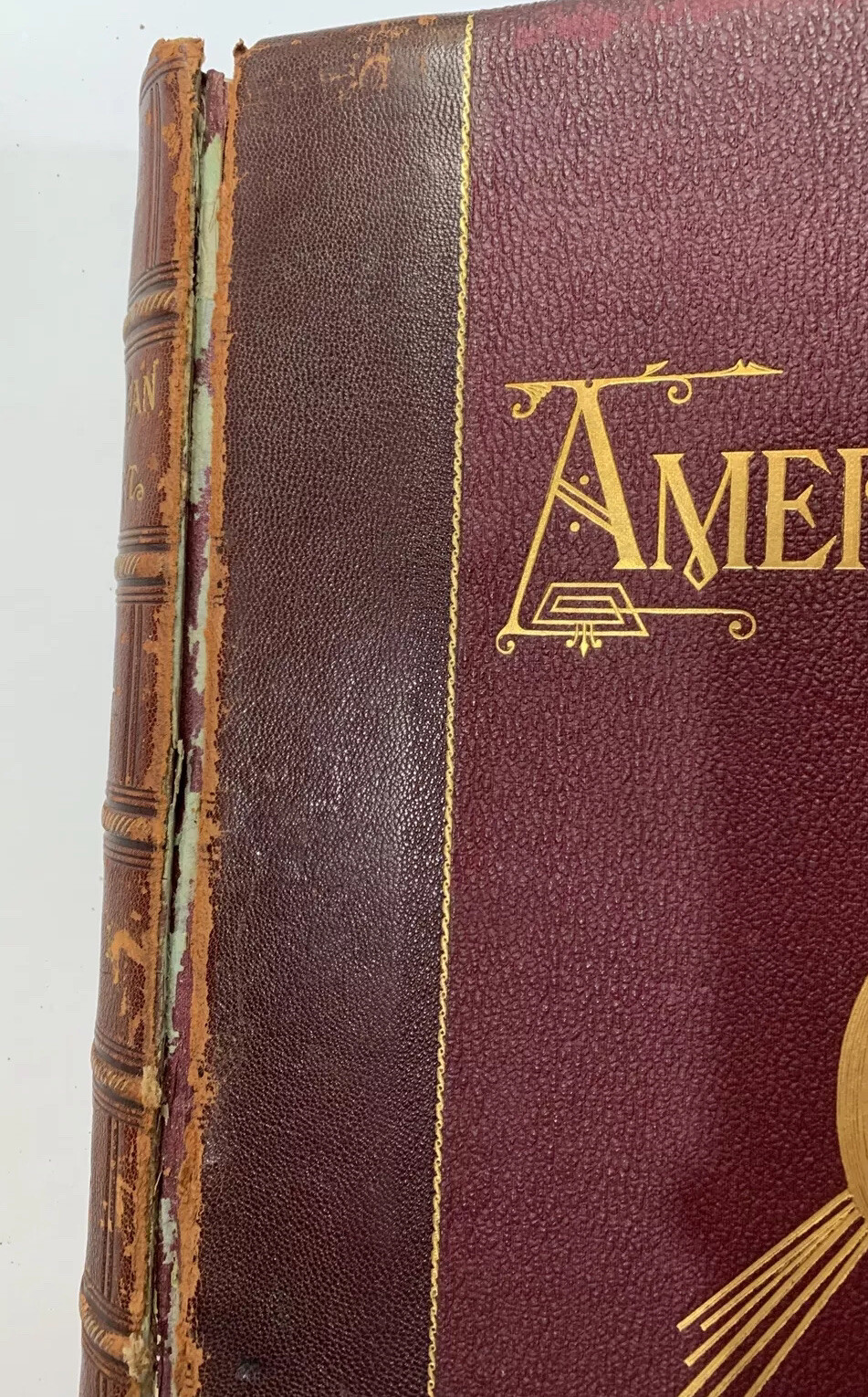 American Art and American Art Collections Vol I/II Ed. by Walter Montgomery 1889 - Image 7
