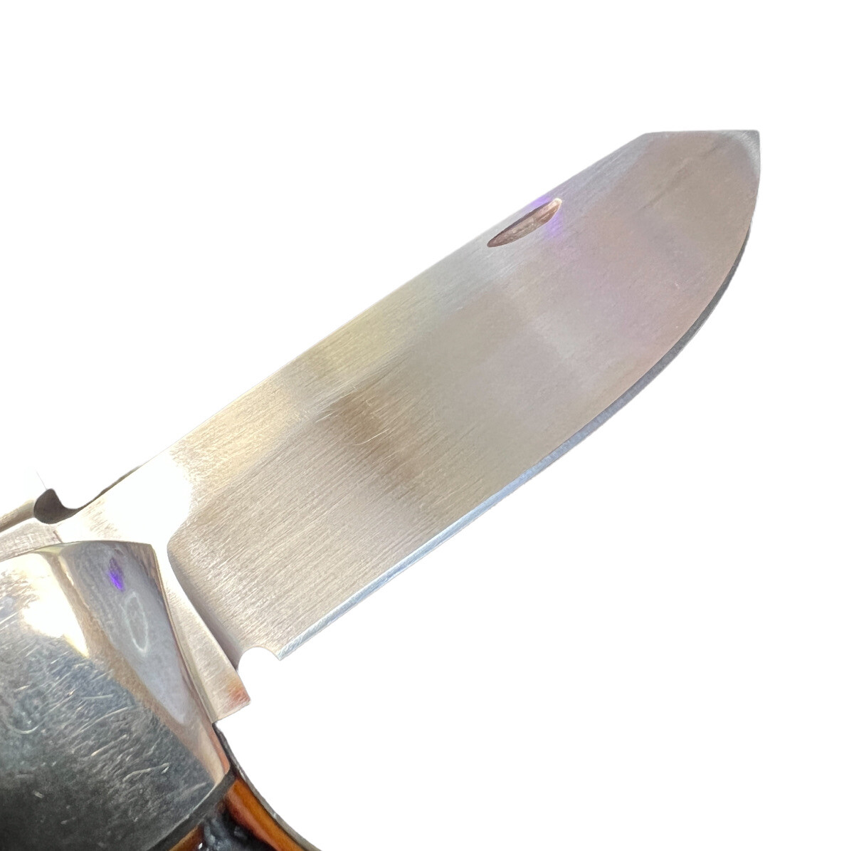 Pocketknife Jeff Cover Large Trapper *Amber* Bone Stag KP-1382 - Image 5