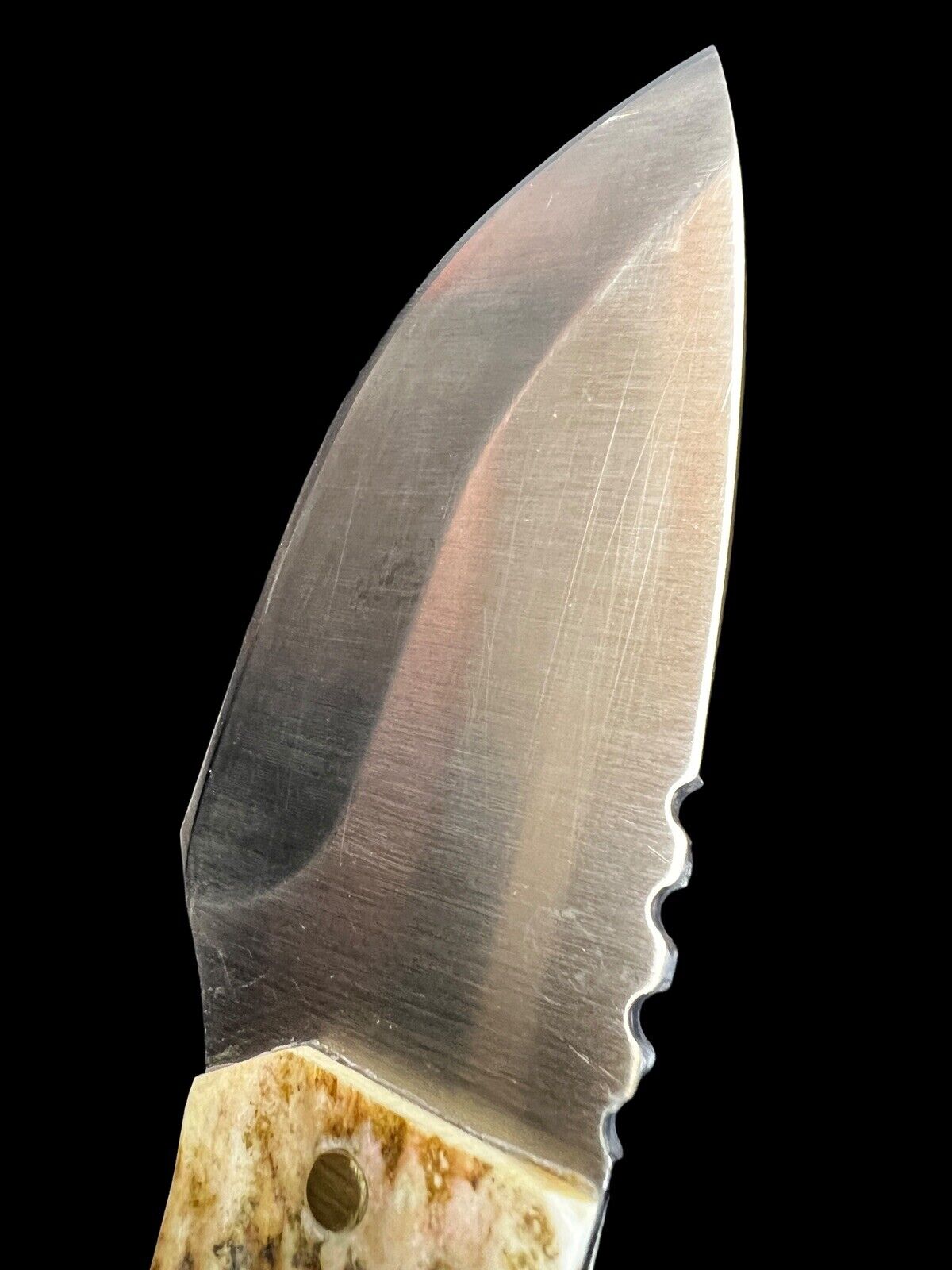 Fixed Blade 2T's Fat Boy Skinner 3 1/2" Moose Horn/Maple Burl and Sheath DH-1240 - Image 7