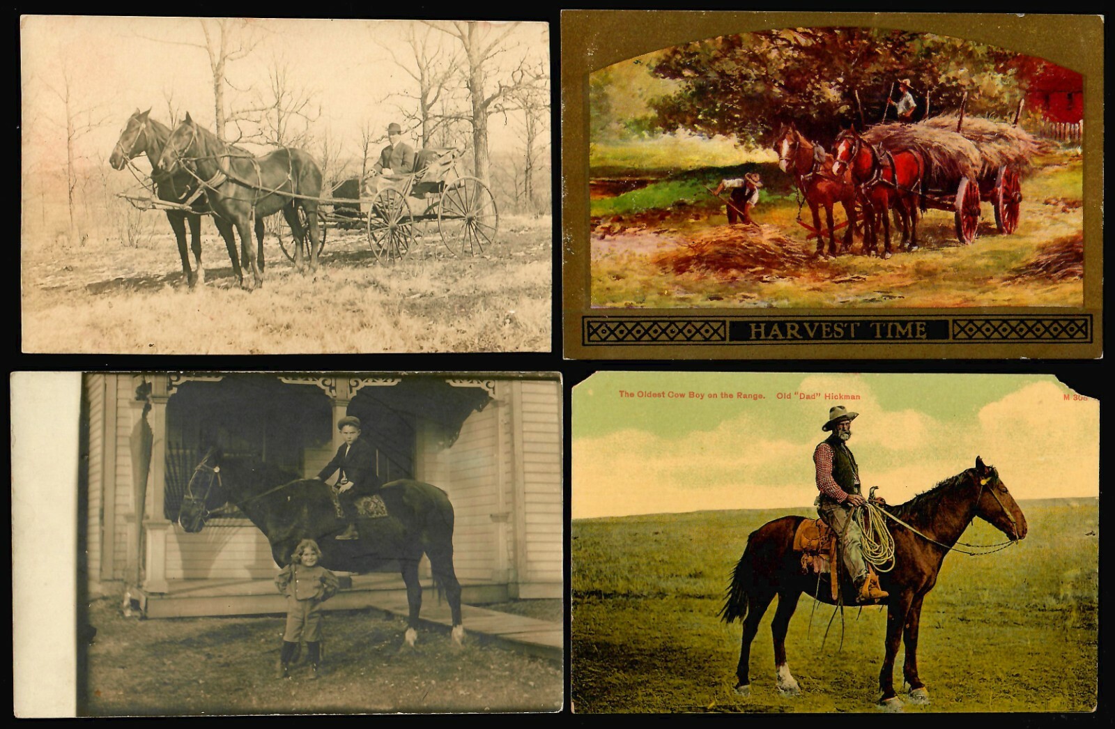 US Postcards. 1900-1915 Vintage, HORSES (71) Grade 2/3 Posted/Unposted. - Image 13