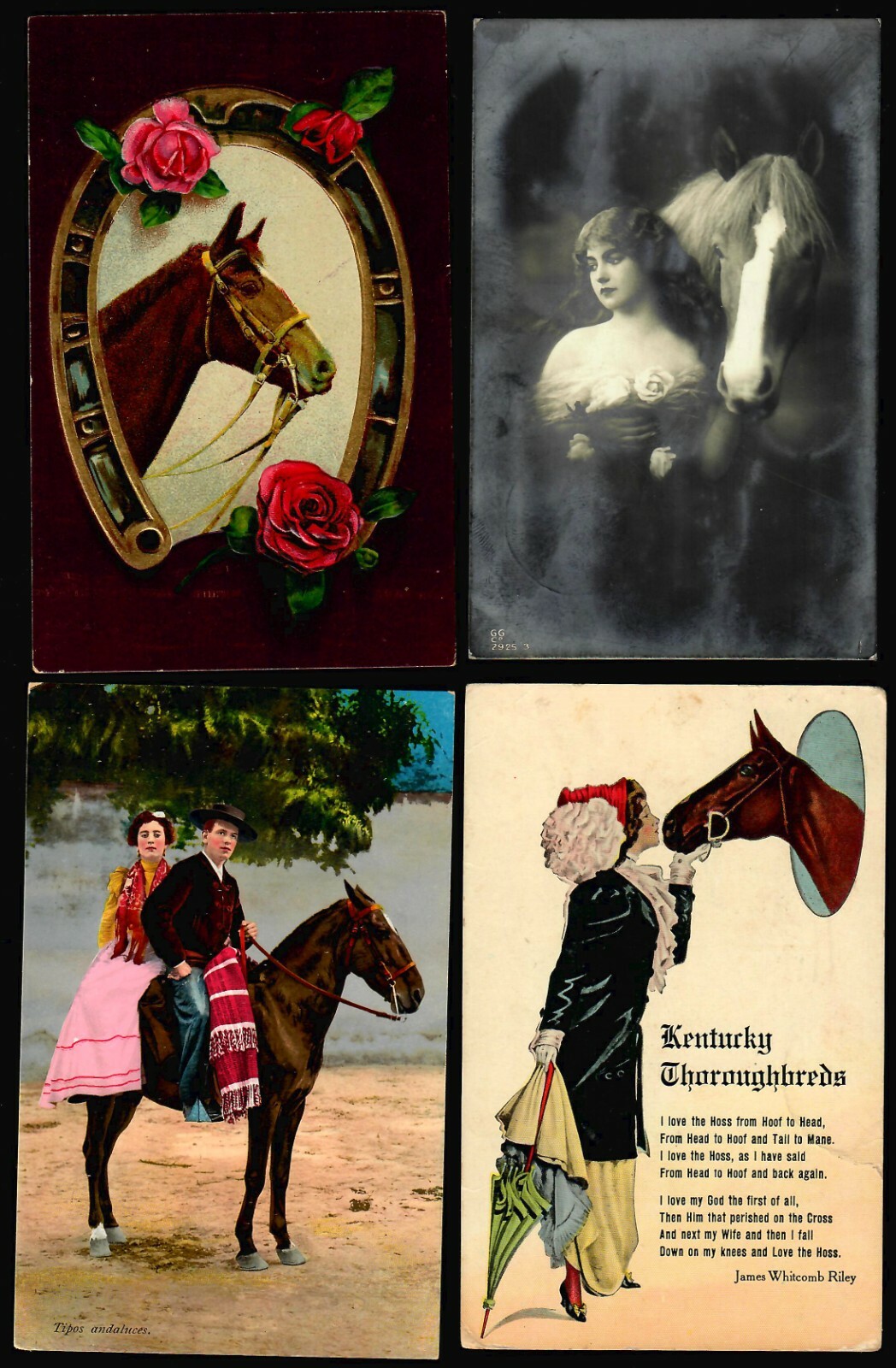 US Postcards. 1900-1915 Vintage, HORSES (71) Grade 2/3 Posted/Unposted. - Image 3