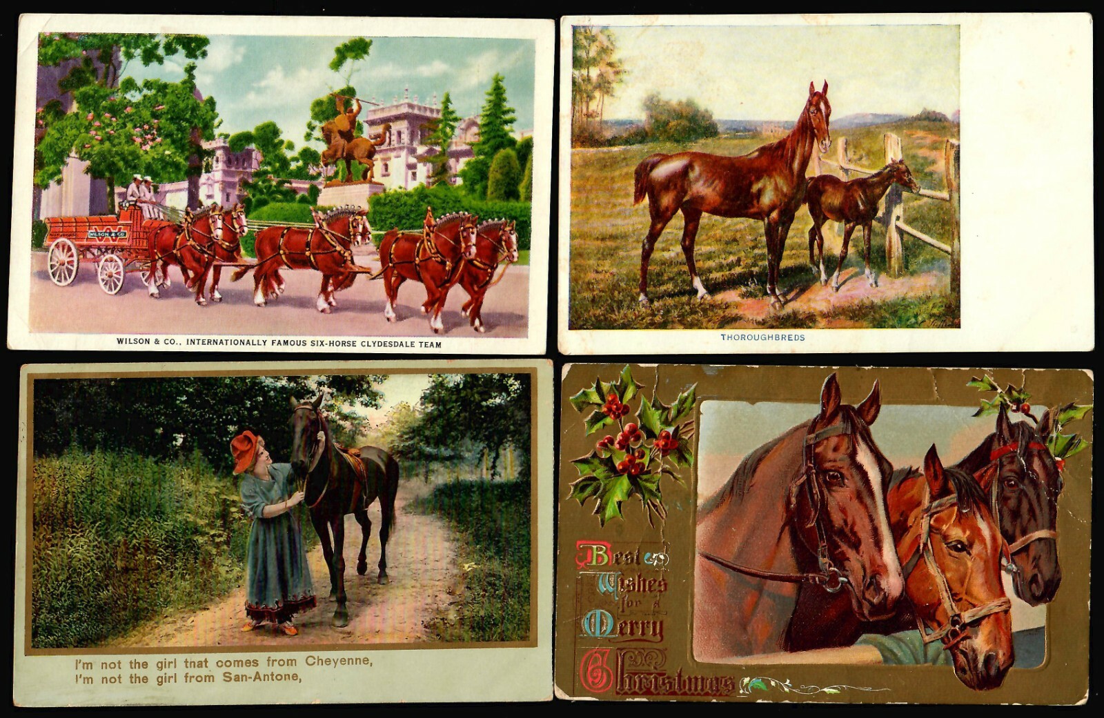 US Postcards. 1900-1915 Vintage, HORSES (71) Grade 2/3 Posted/Unposted. - Image 5