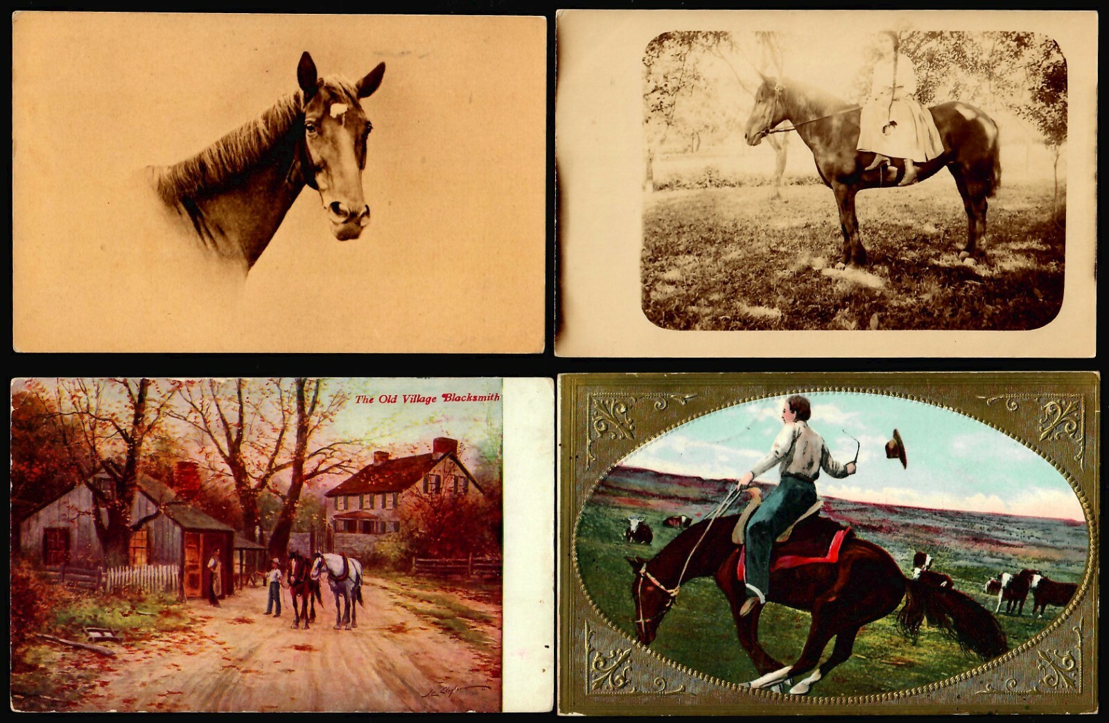US Postcards. 1900-1915 Vintage, HORSES (71) Grade 2/3 Posted/Unposted. - Image 7
