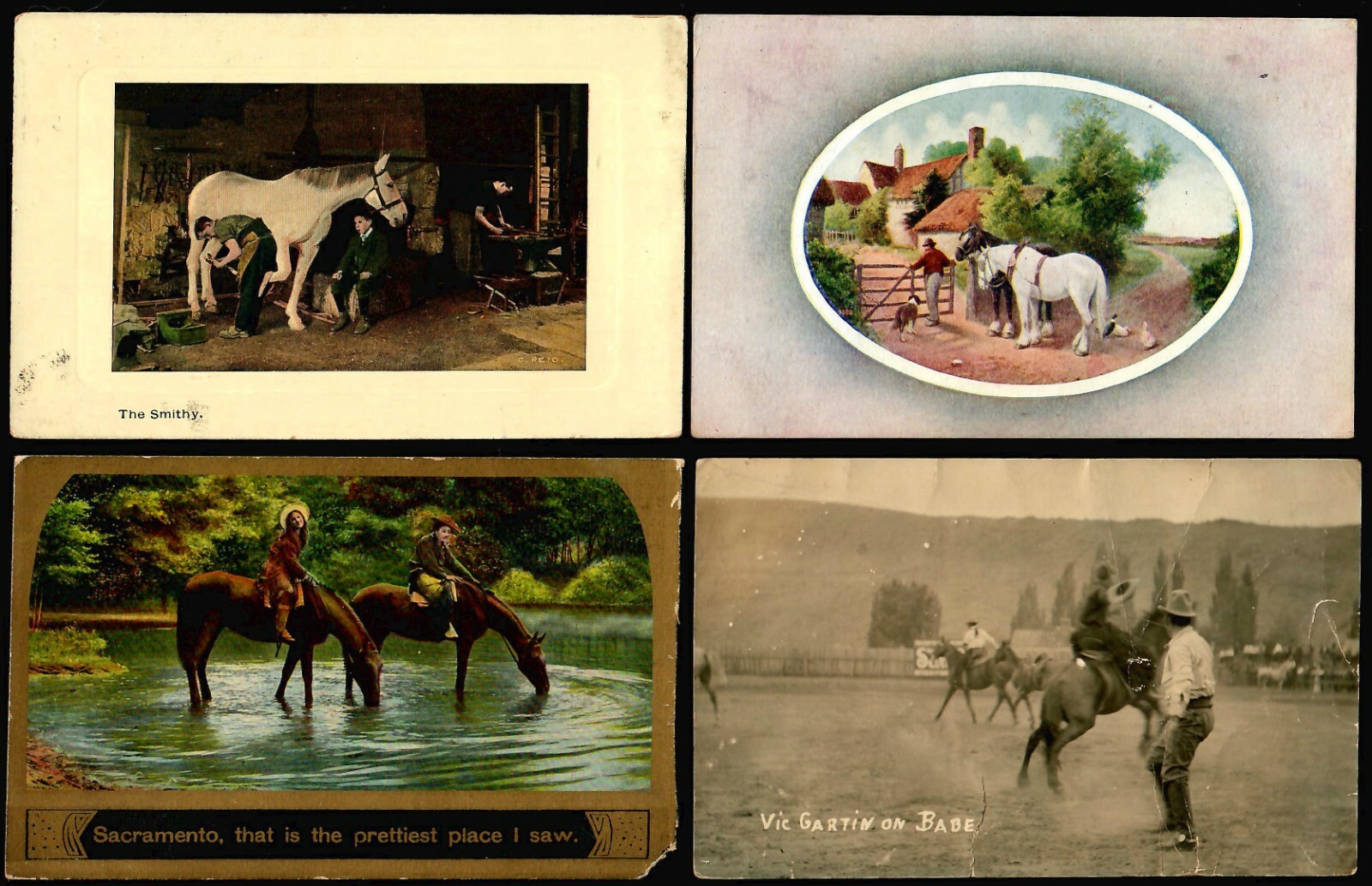 US Postcards. 1900-1915 Vintage, HORSES (71) Grade 2/3 Posted/Unposted. - Image 10