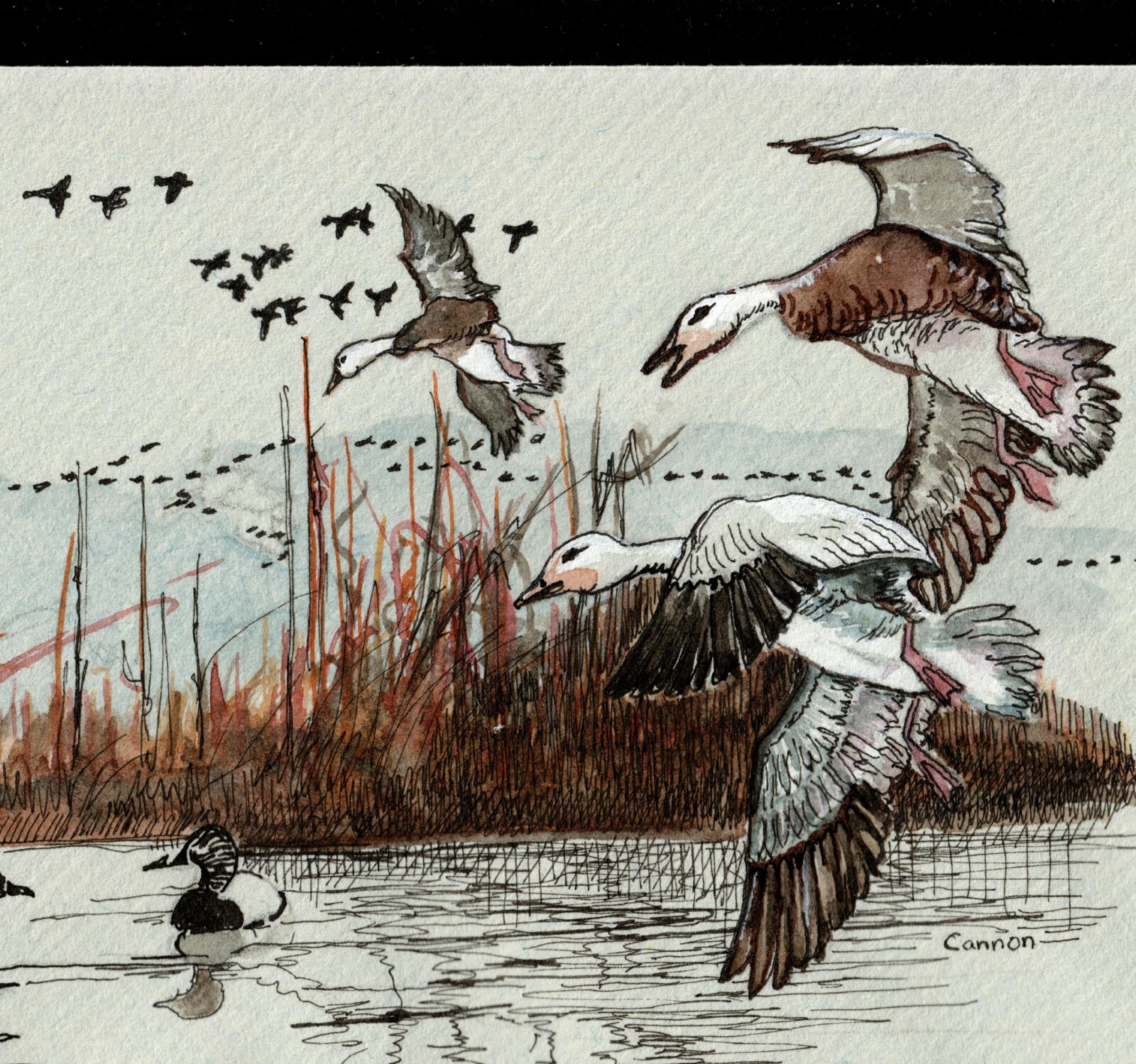 USA #RW54/RW55 FDC Duck, Hand Drawn, HP, & Signed by D. Hutchinson. UNIQUE 1/1 - Image 4